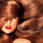 Как восстановить красоту волос?